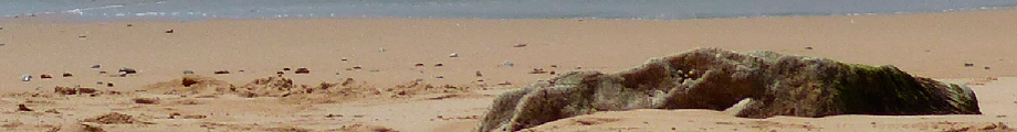 Foto von Strand mit Stein